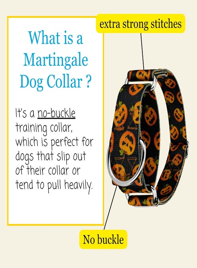 كانتري بروك ديزاين طوق مارتينجال عريض للكلاب من كونتري بروك بيتز - هوسفيت جونيور - مجموعة الهالوين بتصاميم مخيفة (هابي جاك، كبير) - Image 5